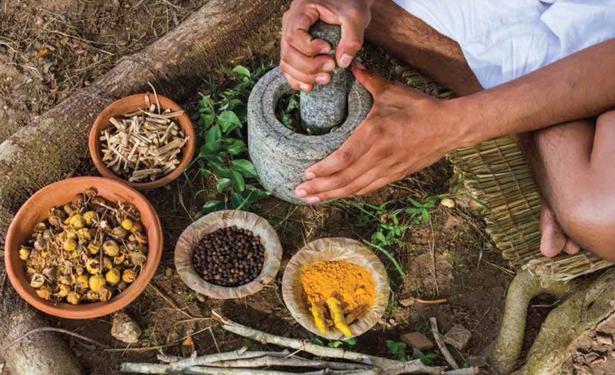 Roots of Sri Lankan traditional medicine | EDB Blog