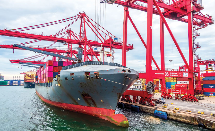 Robust Export Performance Signals Positive Outlook for 2026