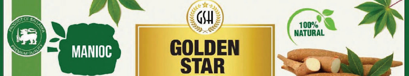 GOLDEN STAR HOLDINGS PVT LTD