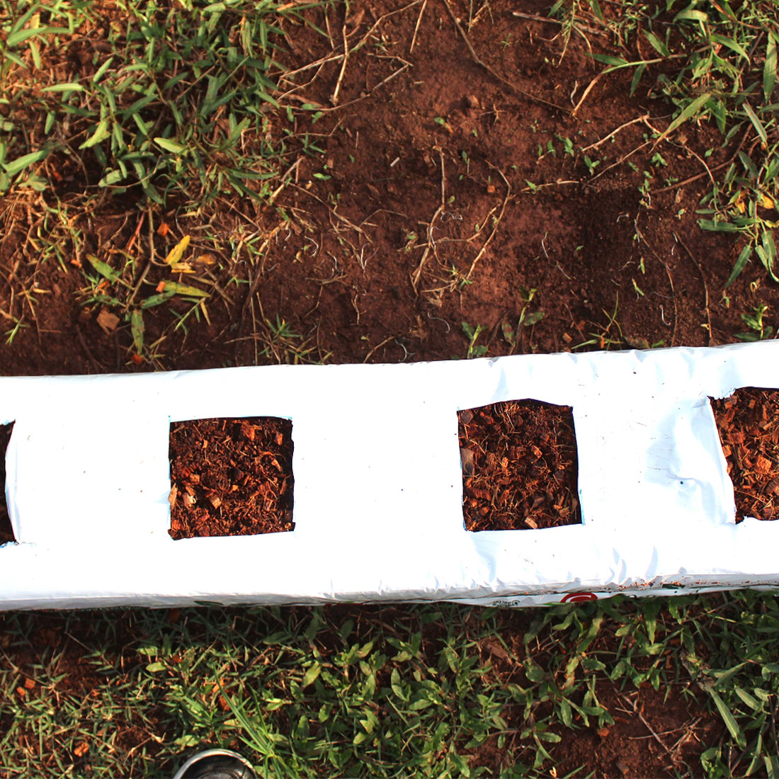 OLE - Cocopeat Growbag