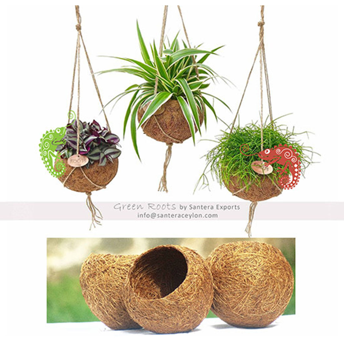 Green Roots - Coir pot nest