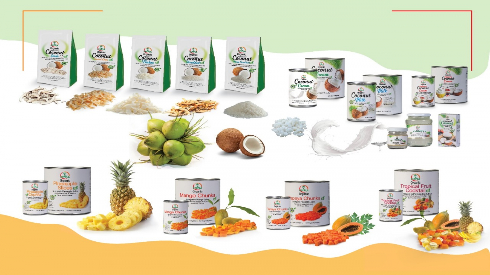 CEYLON PLANT FOOD PVT LTD