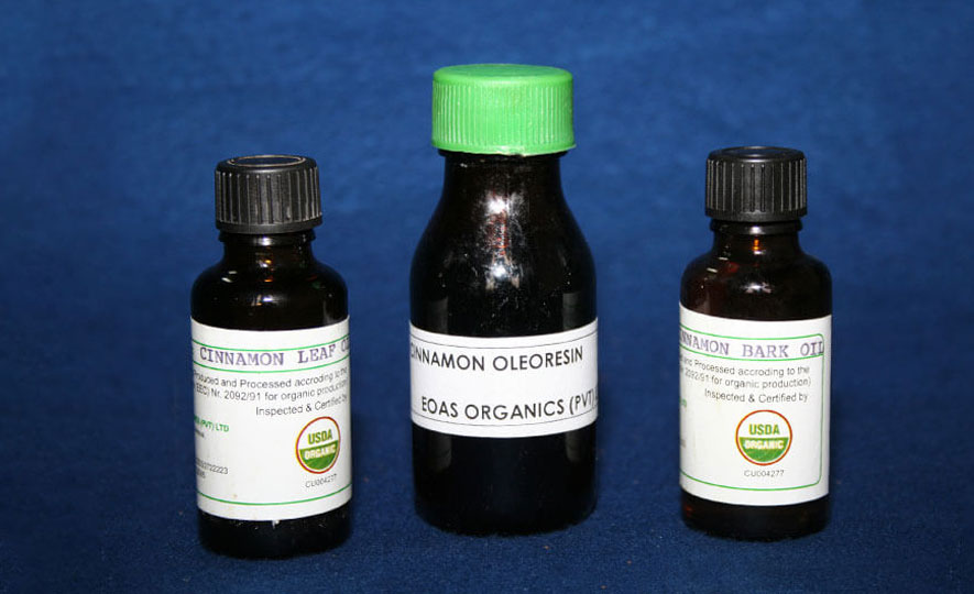 Natural Cinnamon Oil Food Grade Essential Oil Supplier - China Essential Oil  and Cosmetic price